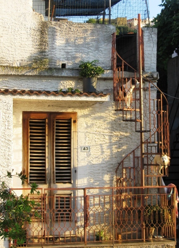 Portoni